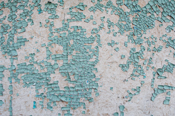 Old wall with peeling green paint pieces. 