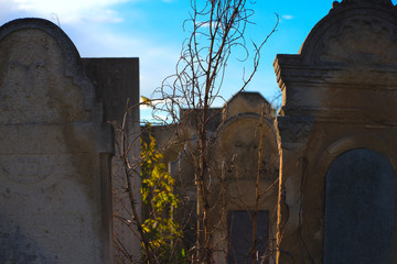 The Old Jewish cemetery at colorful sunset sky, Chernivtsi Ukraine.