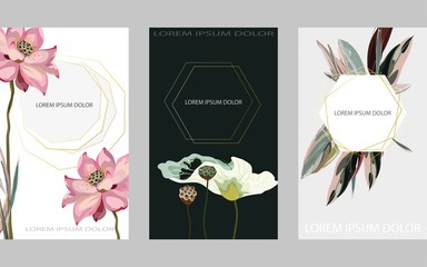Set of three floral designs for greeting cards, invitations, banners on white, gray and black backgrounds. Flowers, leaves, lotus boxes and leaves of a tropical palm tree. Minimalism style templates.