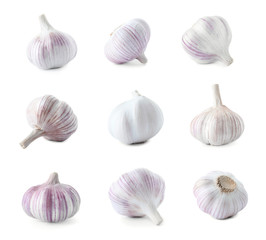 Set of fresh garlic on white background