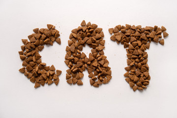Image caption The cat made dry food on a white background