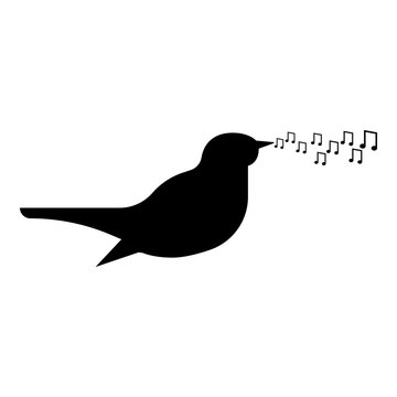 Nightingale singing tune song Bird musical notes Music concept icon black color vector illustration flat style image