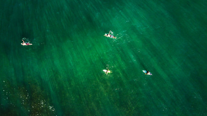 Aerial view of surfers waiting for the waves in the Pacific Ocean's waters. Crushing waves, deep green waters. Philippines.	