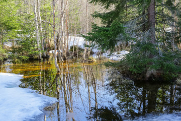 Spring flood