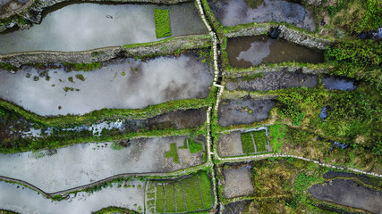 Aerial top-down view on paddy fields terraces full of water with reflection of clouds, before the...