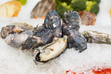 Far Eastern oysters on a crumb of ice. Showcase in a restaurant.
