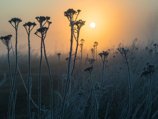 Naklejka premium sunrise in april day