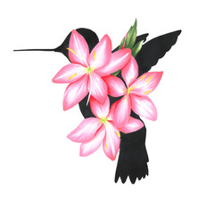 Hummingbird and summer flowers. Silhouette of a bird and flowers.