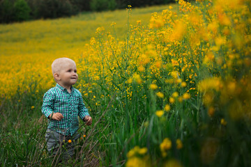 Child in flower fields. happy child  in flower field