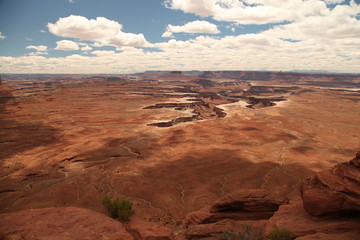 Expansive view from Green River Overlook in Canyonlands National Park (Island In The Sky District), Utah