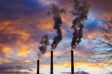 Three chimneys smoke and bare tree branches on background of dramatic sky. Air pollution concept.