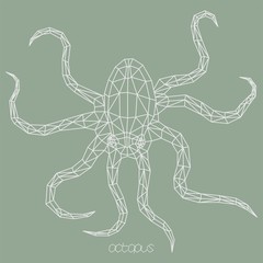 Sea octopus origami polygonal vector image