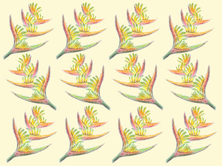 Obraz premium strelitzia pastel drawing on a yellow background