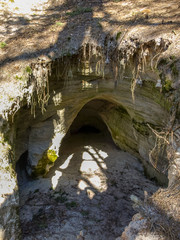 picture with sandstone wall and tree roots