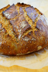 Loaf of crusty miracle overnight no knead bread baked on parchment paper