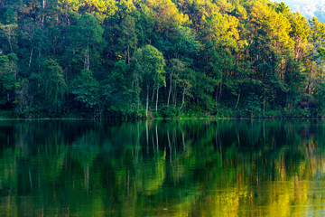 Fototapeta na wymiar The beauty of the scenery of the trees reflecting the surface of the water in the autumn colors by the lake in Pang Ung​ Thailand