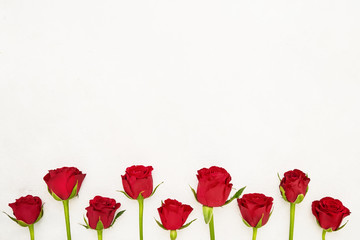 Fototapeta na wymiar Red roses border. Mothers day, Valentines Day, Birthday celebration concept. Copy space, top view