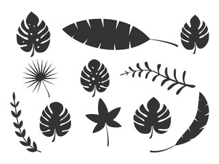 Set of tropical palm black leaves silhouettes vector illustration isolated on white background