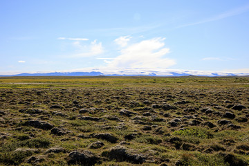 Kjolur / Iceland - August 25, 2017: Field of lava near the Kjolur Highland Road, Iceland, Europe