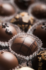 Mixed luxury dark and milk chocolate truffles. Assorted delicious handmade chocolate pralines in a row. Full frame background. Studio shot. Close-up