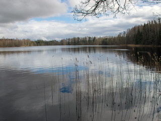 early spring landscape, forest in the background, lake in the foreground