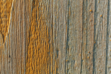 Fototapeta premium wood structure close-up, wood background, wood processing from corrosion