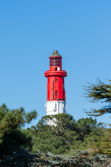 Fototapeta na wymiar CAP FERRET (Bassin d'Arcachon, France), le phare