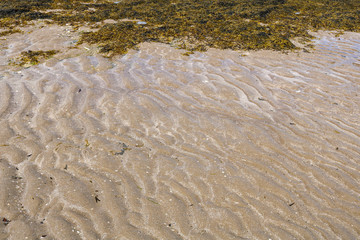  Abstract background with sand on the beach.