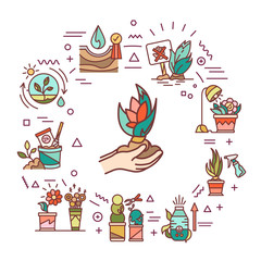 Plant care web banner. Complex of care procedures for plant rotation. Infographics with linear icons on white background. Creative idea concept. Isolated outline color illustration