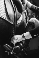 Horse rider saddle up the thoroughbred horse for dressage or equestrian race
