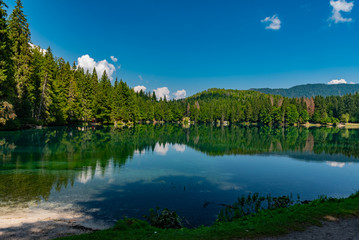 Fototapeta na wymiar panorama of slovenia in summer