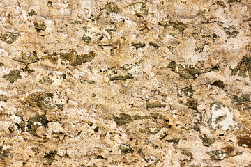 Texture of wall wuth rough stucco