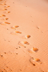 Steps in Sahara deserts during sunset