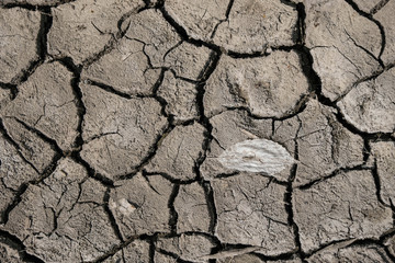 The surface of cracked soil in Ukraine. Dry leaves on soil. Climate change concept. Copy space.