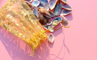 A closeup photo of sea shells and a golden bag to store them.