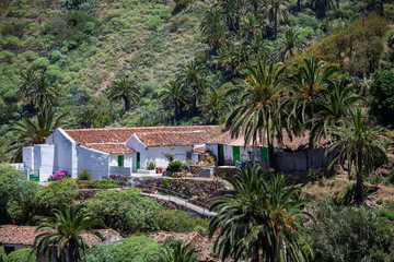 Fototapeta na wymiar Typical houses of the Canary Islands
