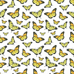 Watercolor seamless pattern with hand painted watercolor butterflies  in bright colors. Romantic floral background perfect for wedding invitation, paper or scrap booking. 