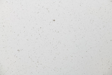 White blurred background with small snowflakes