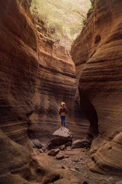 back view of woman traveler in casual outfit and hat looking up while standing on stone in deep rocky ravine with sunlight