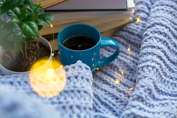 Background of blue knitted plaid and pillows in cosy house with flower in pot and books, mug of tea, a garland. Home place work.