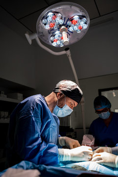 Veterinarian surgeons and nurses in uniform concentrating and operating dog using special equipment in operating room of contemporary hospital