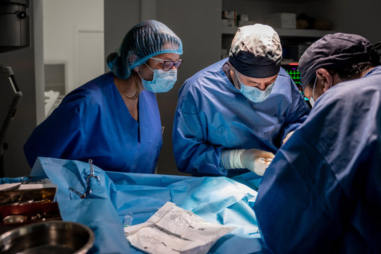 Surgeons and nurses in uniform concentrating and operating patient using special equipment in operating room of contemporary hospital