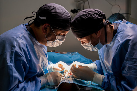 Veterinarian surgeons and nurses in uniform concentrating and operating dog using special equipment in operating room of contemporary hospital