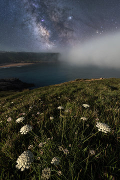White field flowers and green grass on hill with calm rocky empty seashore and colorful bright sky with milky way on background
