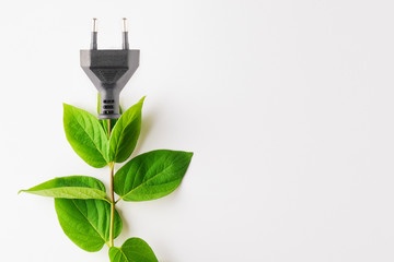 Renewable energy, sustainability, ecology concept. Power plug with green leaves over white background.