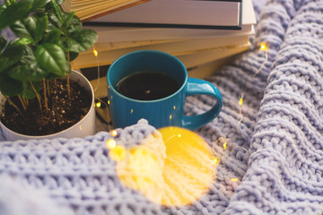 Fototapeta na wymiar Background of blue knitted plaid and pillows in cosy house with flower in pot and books, mug of tea, a garland. Home place work.