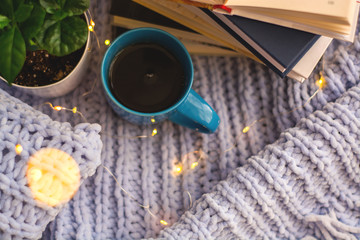 Background of blue knitted plaid and pillows in cosy house with flower in pot and books, mug of tea, a garland. Home place work.