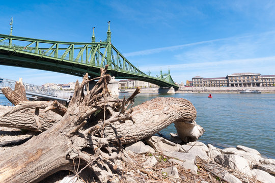 Liberty Bridge In Budapest