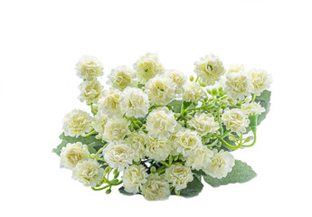 Green Plastic Fake Flower Bouquet White background or isolated