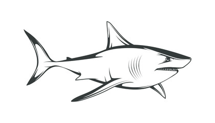 White shark. Saltwater fish. Eater Shark. Carcharodon. Big aggressive shark. Fish a shark a side view sketch. The emblem with shark for a sport team. Angry shark vector illustration.